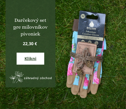 Darčekový set pre milovníkov pivoniek