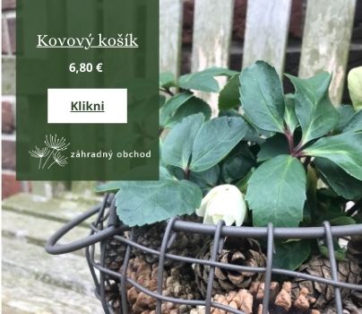 Sivý obal na kvetináč