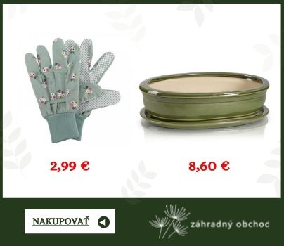 bonsai miska rukavice