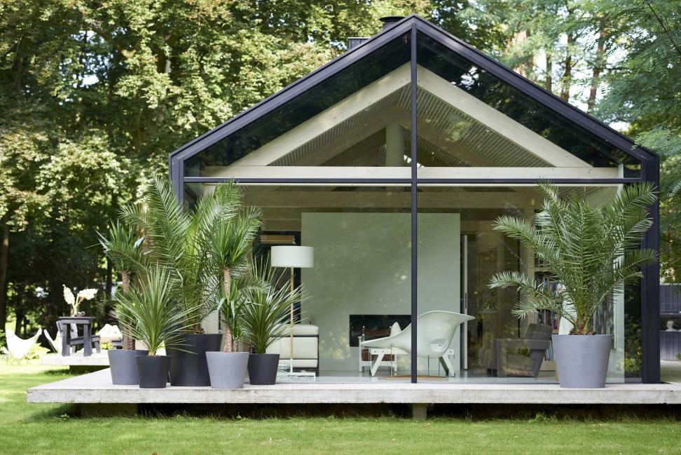 leto s palmami