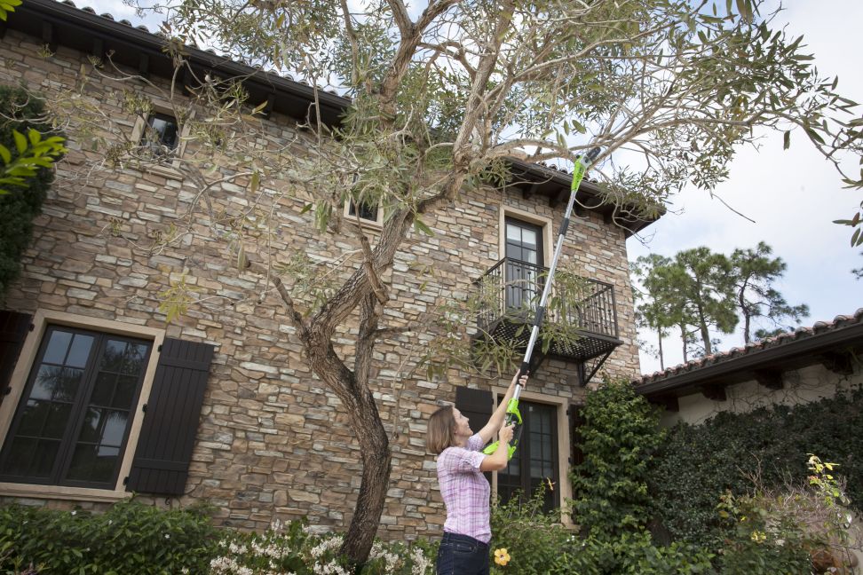 Pole Saw