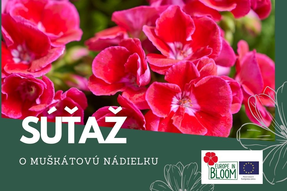 sutaz muskaty 2024 web2