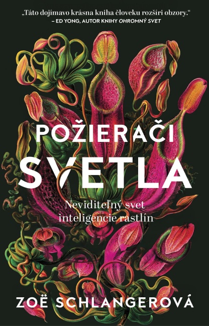 pozieraci svetla cover press