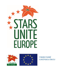 Stars for Europe logo N