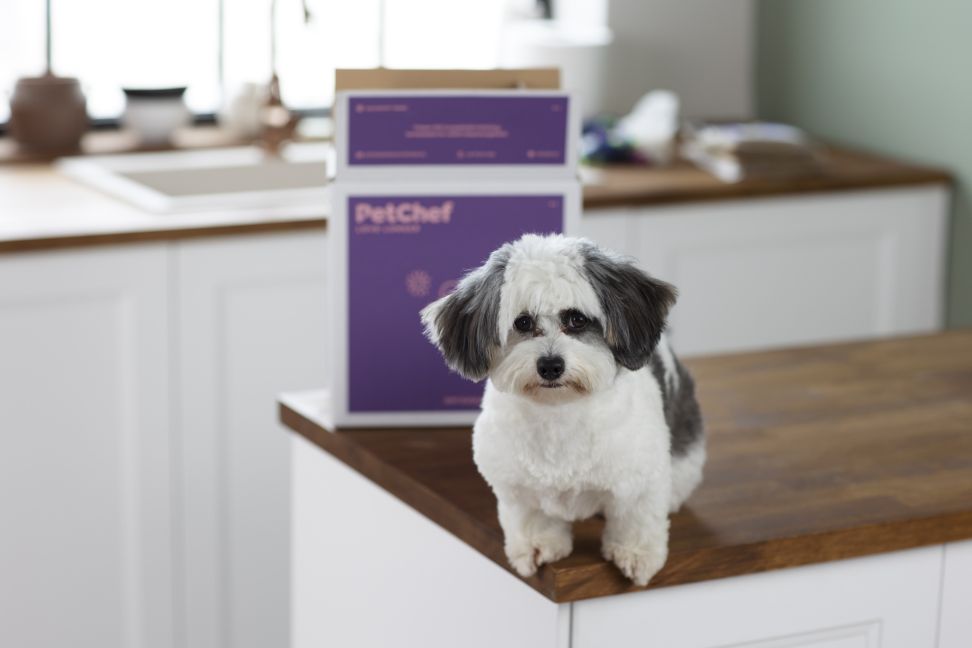 petchef1