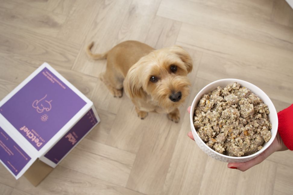 petchef2