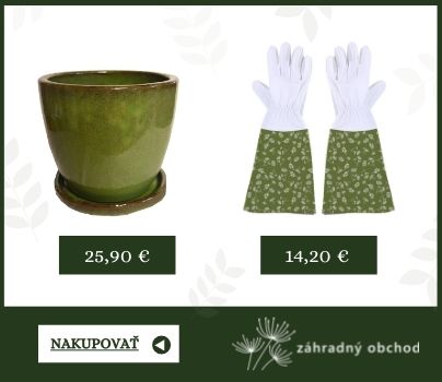 kvetinac zahradne rukavice predlzene