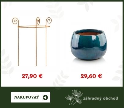 opora pivonky kvetinac