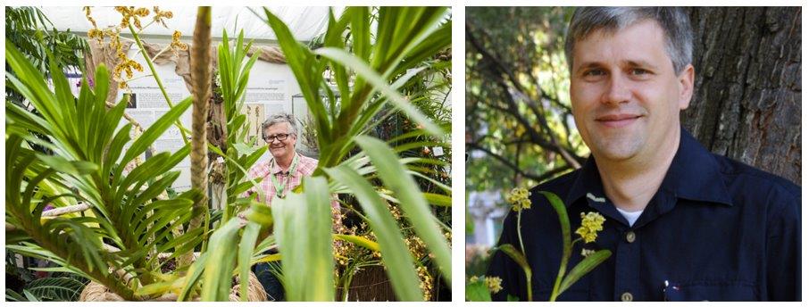 orchid interview