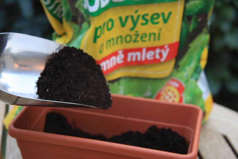 paradajky 2018 2