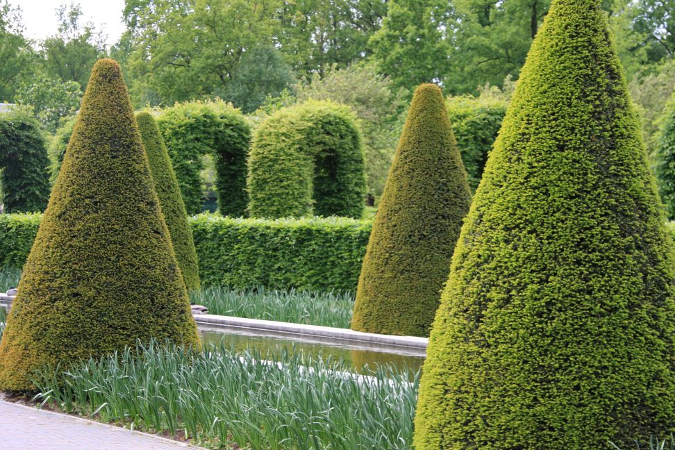 topiary
