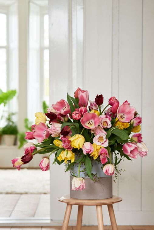 tulipany floristika